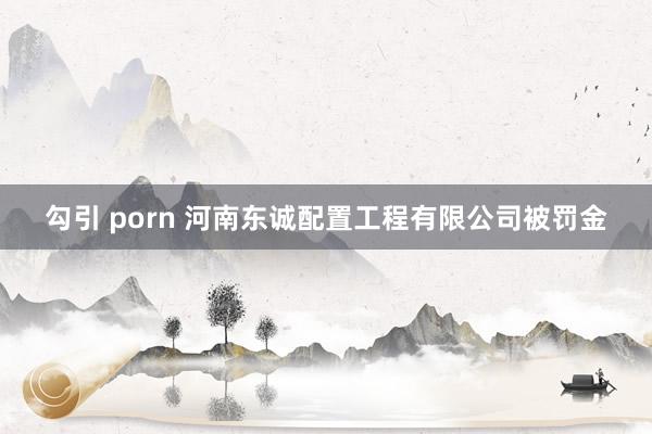 勾引 porn 河南东诚配置工程有限公司被罚金