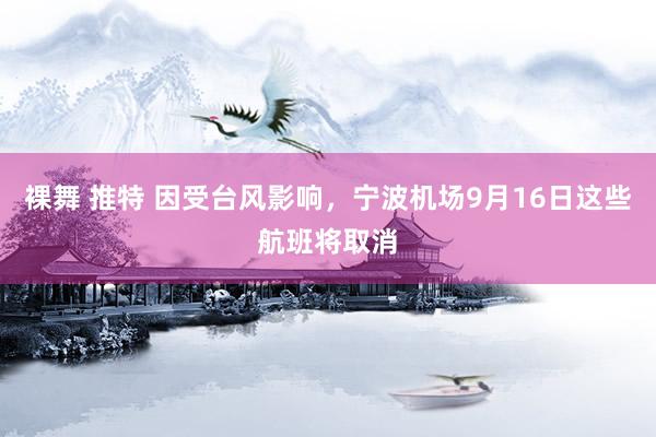 裸舞 推特 因受台风影响，宁波机场9月16日这些航班将取消