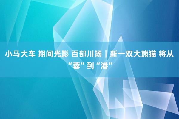 小马大车 期间光影 百部川扬｜新一双大熊猫 将从“蓉”到“港”