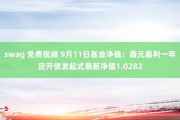 swag 免费视频 9月11日基金净值：鑫元嘉利一年定开债发起式最新净值1.0282