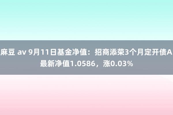 麻豆 av 9月11日基金净值：招商添荣3个月定开债A最新净值1.0586，涨0.03%