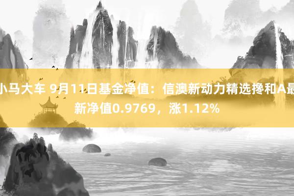 小马大车 9月11日基金净值：信澳新动力精选搀和A最新净值0.9769，涨1.12%