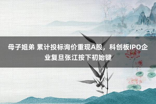 母子姐弟 累计投标询价重现A股，科创板IPO企业复旦张江按下初始键