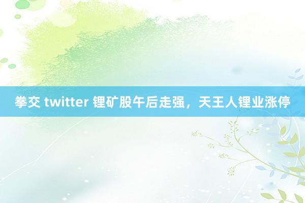 拳交 twitter 锂矿股午后走强，天王人锂业涨停