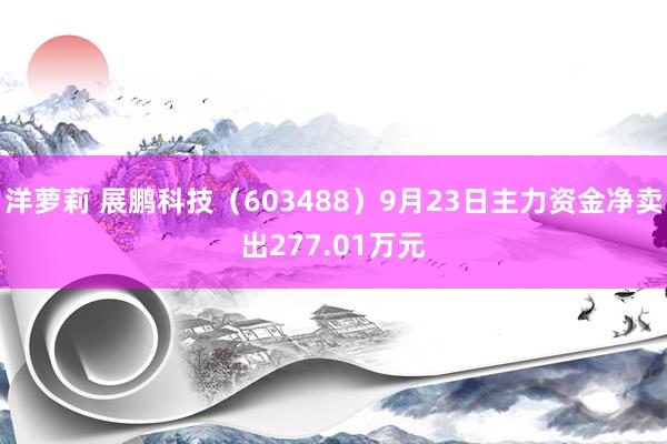 洋萝莉 展鹏科技（603488）9月23日主力资金净卖出277.01万元