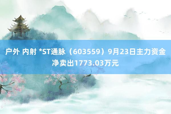 户外 内射 *ST通脉（603559）9月23日主力资金净卖出1773.03万元