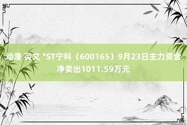 动漫 英文 *ST宁科（600165）9月23日主力资金净卖出1011.59万元