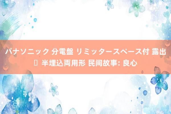 パナソニック 分電盤 リミッタースペース付 露出・半埋込両用形 民间故事: 良心