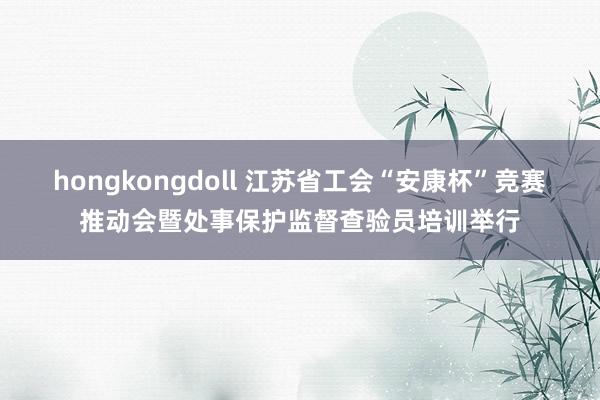 hongkongdoll 江苏省工会“安康杯”竞赛推动会暨处事保护监督查验员培训举行