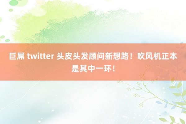 巨屌 twitter 头皮头发顾问新想路！吹风机正本是其中一环！