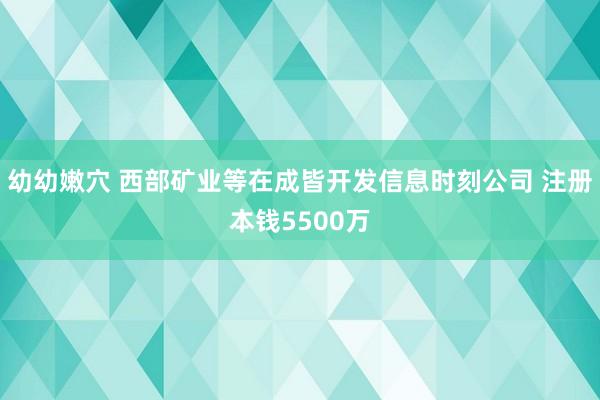 幼幼嫩穴 西部矿业等在成皆开发信息时刻公司 注册本钱5500万