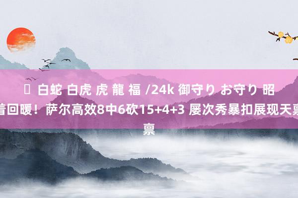 ✨白蛇 白虎 虎 龍 福 /24k 御守り お守り 昭着回暖！萨尔高效8中6砍15+4+3 屡次秀暴扣展现天禀