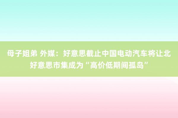 母子姐弟 外媒：好意思截止中国电动汽车将让北好意思市集成为“高价低期间孤岛”