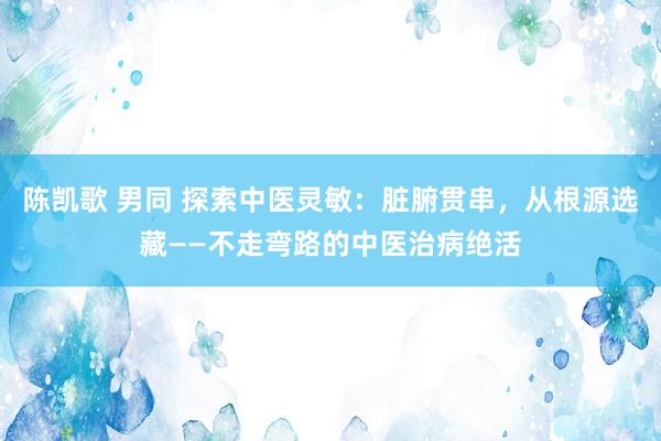 陈凯歌 男同 探索中医灵敏：脏腑贯串，从根源选藏——不走弯路的中医治病绝活