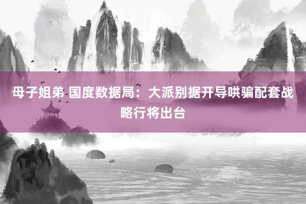 母子姐弟 国度数据局：大派别据开导哄骗配套战略行将出台