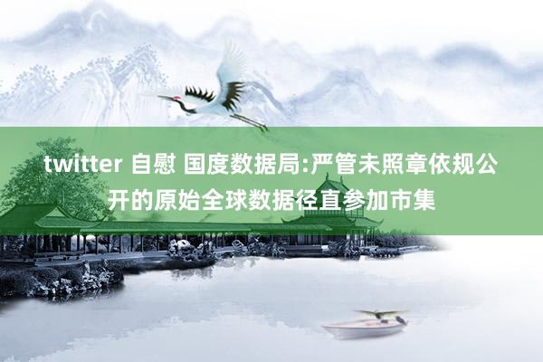 twitter 自慰 国度数据局:严管未照章依规公开的原始全球数据径直参加市集