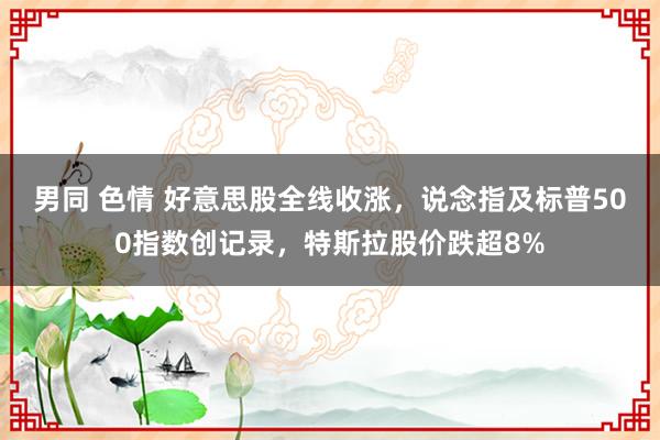 男同 色情 好意思股全线收涨，说念指及标普500指数创记录，特斯拉股价跌超8%