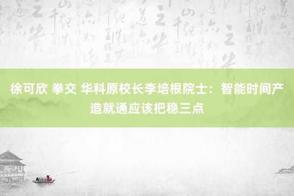 徐可欣 拳交 华科原校长李培根院士：智能时间产造就通应该把稳三点