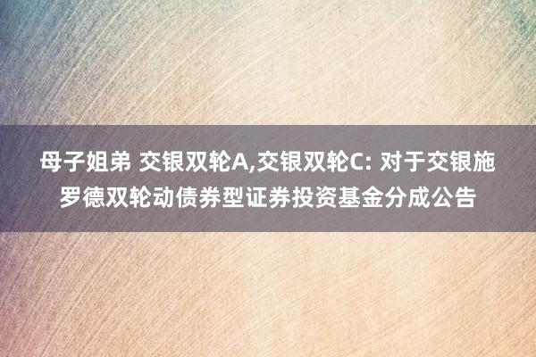 母子姐弟 交银双轮A,交银双轮C: 对于交银施罗德双轮动债券型证券投资基金分成公告