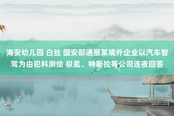 海安幼儿园 白丝 国安部通报某境外企业以汽车智驾为由犯科测绘 极氪、特斯拉等公司连夜回答