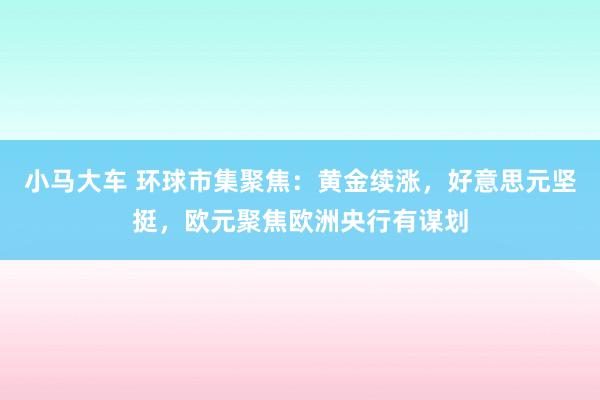 小马大车 环球市集聚焦：黄金续涨，好意思元坚挺，欧元聚焦欧洲央行有谋划