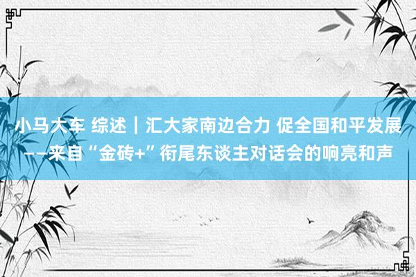 小马大车 综述｜汇大家南边合力 促全国和平发展——来自“金砖+”衔尾东谈主对话会的响亮和声