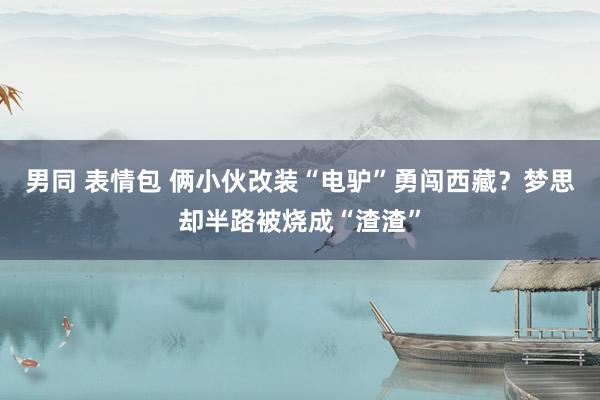 男同 表情包 俩小伙改装“电驴”勇闯西藏？梦思却半路被烧成“渣渣”