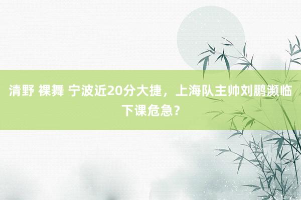 清野 裸舞 宁波近20分大捷，上海队主帅刘鹏濒临下课危急？