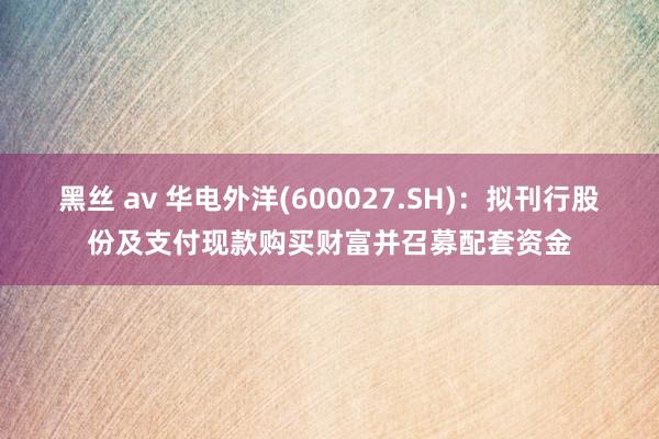 黑丝 av 华电外洋(600027.SH)：拟刊行股份及支付现款购买财富并召募配套资金