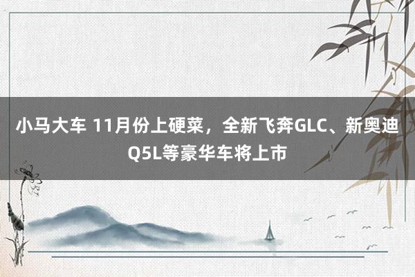 小马大车 11月份上硬菜，全新飞奔GLC、新奥迪Q5L等豪华车将上市