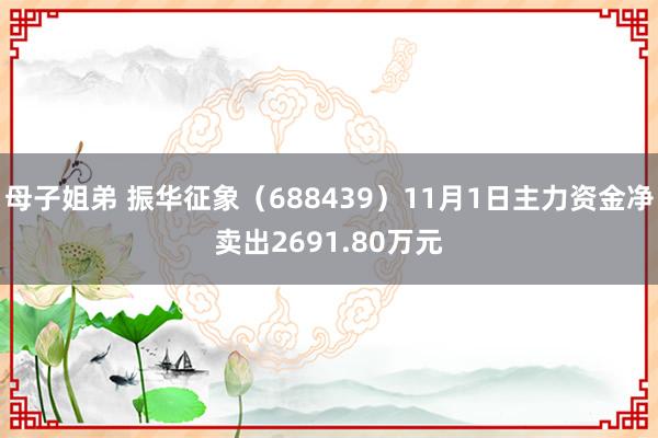 母子姐弟 振华征象（688439）11月1日主力资金净卖出2691.80万元