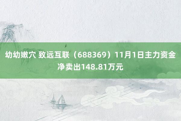 幼幼嫩穴 致远互联（688369）11月1日主力资金净卖出148.81万元