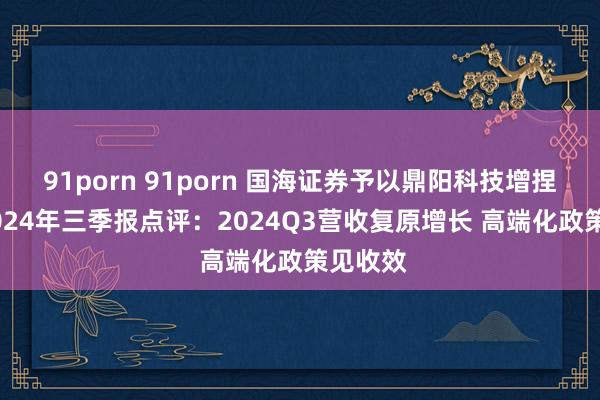 91porn 91porn 国海证券予以鼎阳科技增捏评级 2024年三季报点评：2024Q3营收复原增长 高端化政策见收效