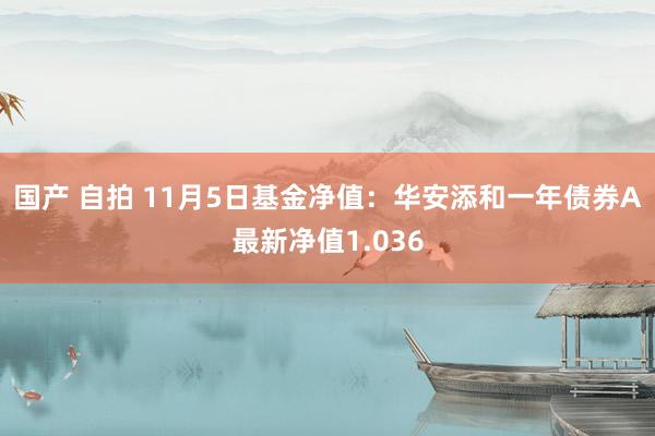 国产 自拍 11月5日基金净值：华安添和一年债券A最新净值1.036