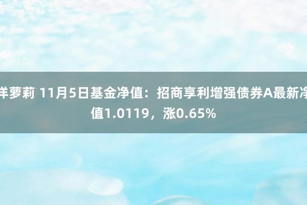 洋萝莉 11月5日基金净值：招商享利增强债券A最新净值1.0119，涨0.65%