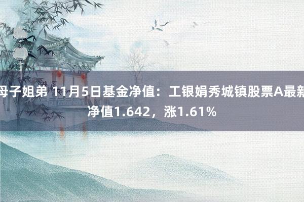 母子姐弟 11月5日基金净值：工银娟秀城镇股票A最新净值1.642，涨1.61%