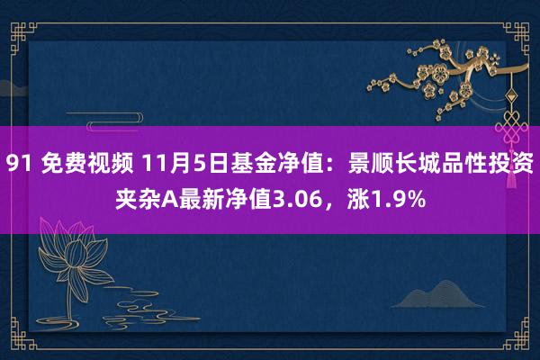 91 免费视频 11月5日基金净值：景顺长城品性投资夹杂A最新净值3.06，涨1.9%