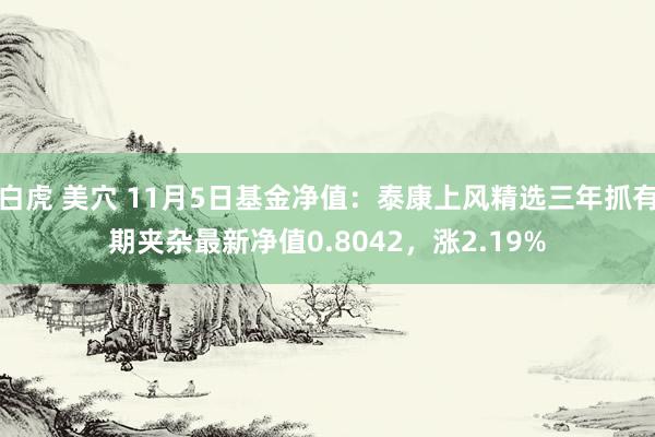 白虎 美穴 11月5日基金净值：泰康上风精选三年抓有期夹杂最新净值0.8042，涨2.19%