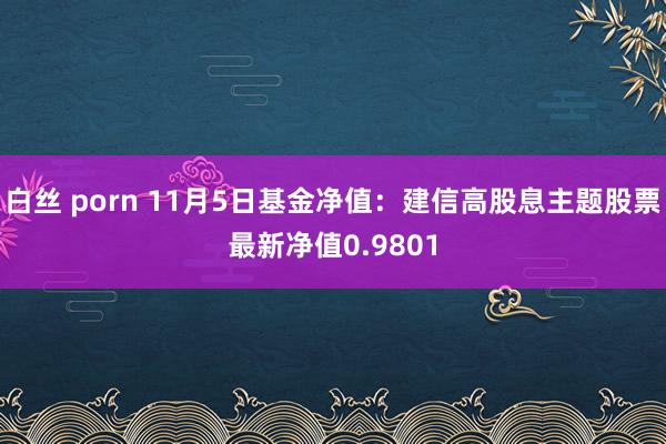 白丝 porn 11月5日基金净值：建信高股息主题股票最新净值0.9801