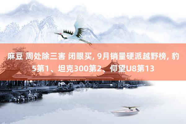 麻豆 周处除三害 闭眼买, 9月销量硬派越野榜, 豹5第1、坦克300第2、仰望U8第13