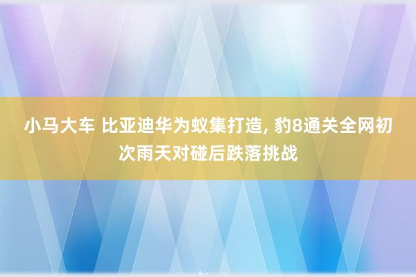 小马大车 比亚迪华为蚁集打造, 豹8通关全网初次雨天对碰后跌落挑战