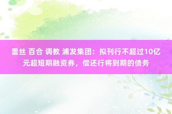 蕾丝 百合 调教 浦发集团：拟刊行不超过10亿元超短期融资券，偿还行将到期的债务