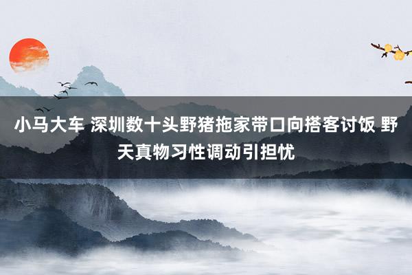 小马大车 深圳数十头野猪拖家带口向搭客讨饭 野天真物习性调动引担忧